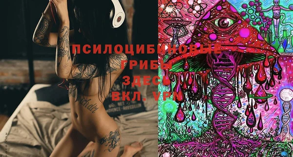 Альфа ПВП Арсеньев