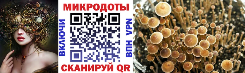 Галлюциногенные грибы прущие грибы  купить наркотики сайты  дарк нет какой сайт  Усть-Джегута 